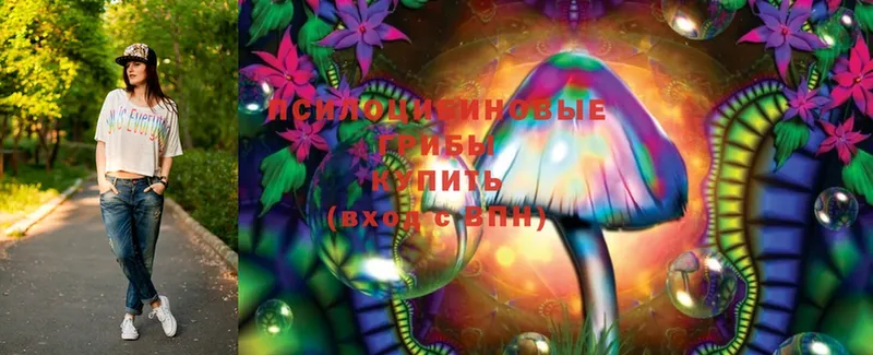 купить   Воскресенск  Псилоцибиновые грибы Magic Shrooms 